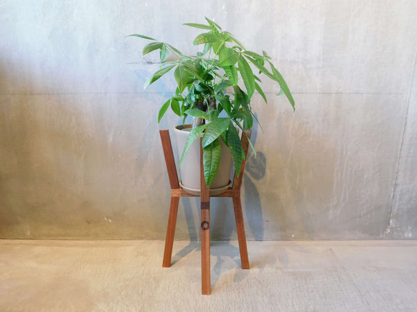 ＰＬＡＮＴＥＲ　ＳＴＡＮＤ　Ｓ